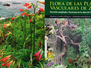 Federico Johow.  Flora de las plantas vasculares de Zapallar