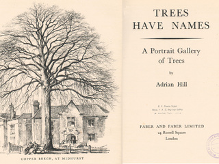 Adrian Hill.  Trees have names; a portrait gallery of trees