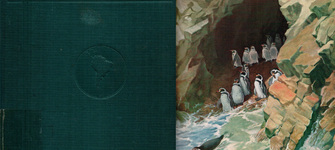 Robert Cushmann Murphy.   Oceanic birds of South America