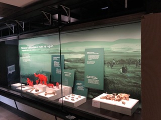 Premontaje nueva exhibición permanente MALS