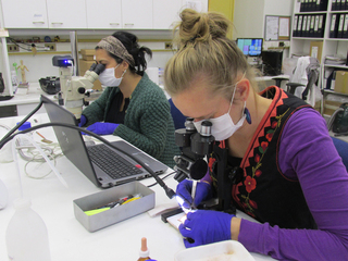 G.Neyra y A. Stabler interviniendo metales arqueológicos. Archivo CNCR (Naranjo, N. 2015)