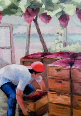 Catálogo de Juanita Muñoz