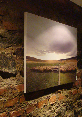 Protocolo de Exhibición