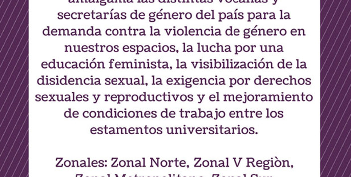 Volante Coordinadora Feminista Universitaria (COFEU), 2018. Donación Amanda Mitrovich- COFEU.