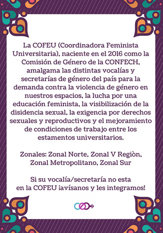 Volante Coordinadora Feminista Universitaria (COFEU), 2018. Donación Amanda Mitrovich- COFEU.