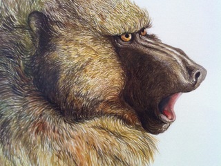 Obra de Mariana Vadell, artista invitada.