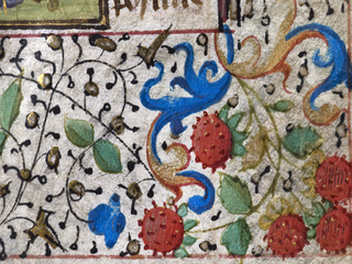 Marcos decorativos: alegorías de la naturaleza