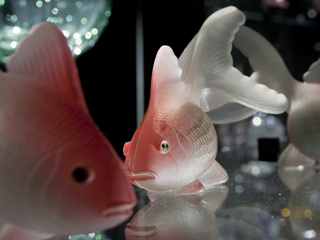 Pez de Cristal Moldeado | Colección Montebruno