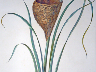 Zoo en la Biblioteca Patrimonial