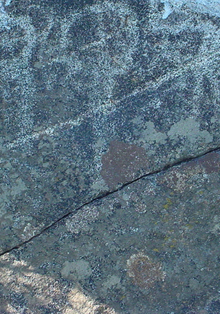 Petroglifo en cajón del valle de Chalinga