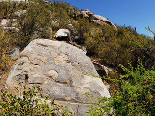 Petroglifo en sector Zapallar
