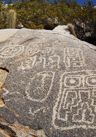 Petroglifo en sector Zapallar