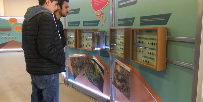 Espacio Cultural La Cruz