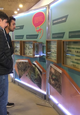 Espacio Cultural La Cruz