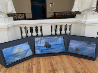 Necia en hall central, segundo piso MNBA