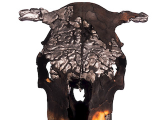 Detalle de obra de Pablo Concha