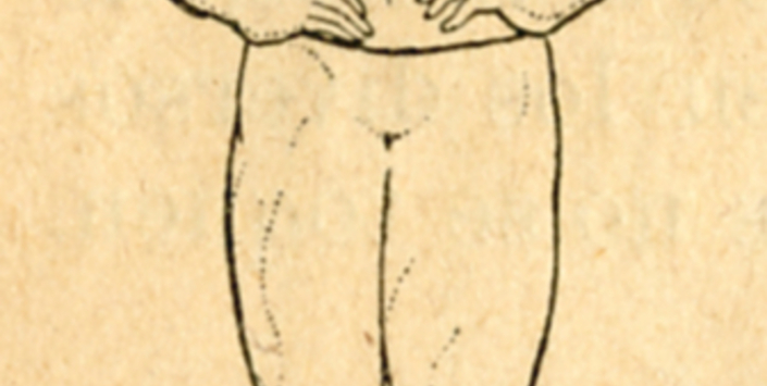 Movimiento de cabeza