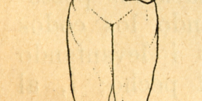 Movimientos de brazos