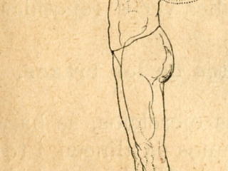 Movimiento de brazos