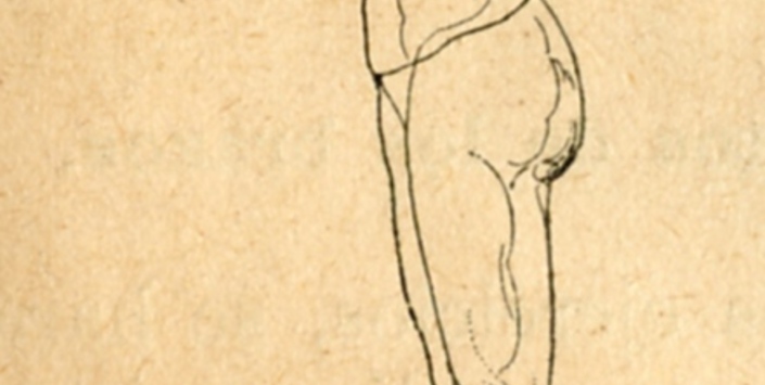 Movimiento de brazos