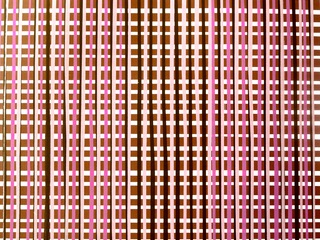 Obra de Ximena Bórquez