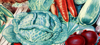 Folleto publicitario