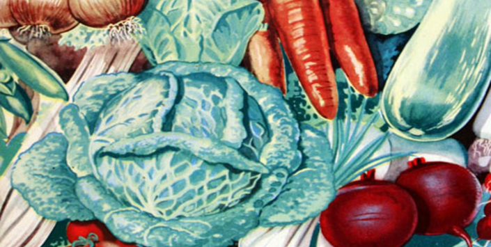 Folleto publicitario