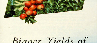 Folleto publicitario