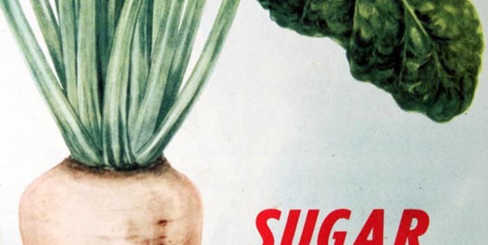 Folleto publicitario