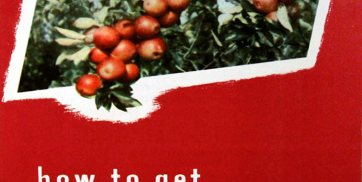 Folleto publicitario