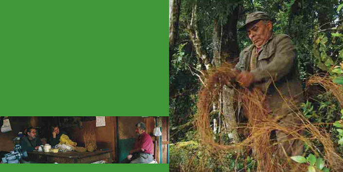 Portada de La quilineja y la familia Marilican