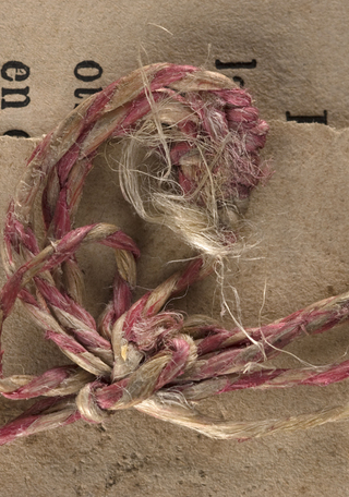 Archivo CNCR. Fotografía V. Rivas