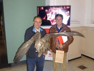 Entrega de águila taxidermizada