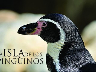 Documental de  23 min. de duración