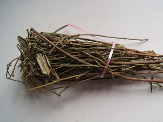 Taller de Jamie Ross