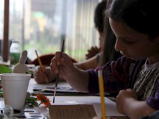 Taller de ilustración botánica