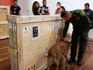 Caja embalaje de obra José de San Martín.