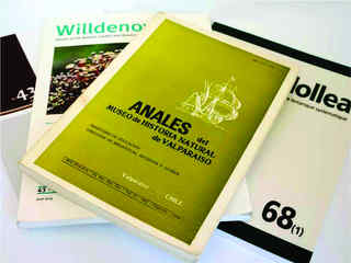 Publicaciones periódicas disponibles en la biblioteca del museo.