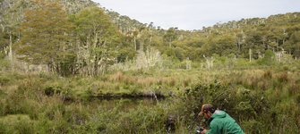 Un naturalista en acción. Al fondo el cerro Pichinahuel, en la entrada occidental al Parque Nacional Nahuelbuta.