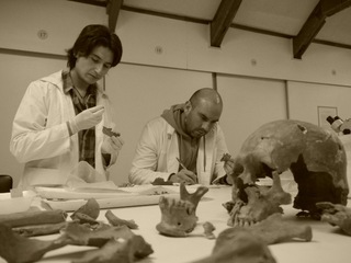 Investigadores proyecto