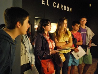 Revisión pauta de visita