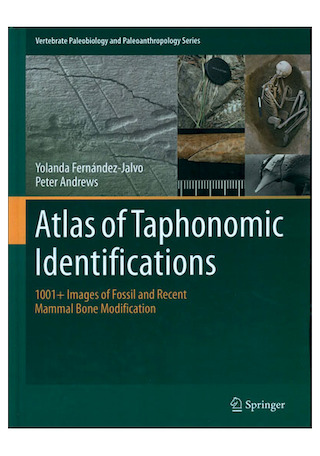 detalle de la portada del libro