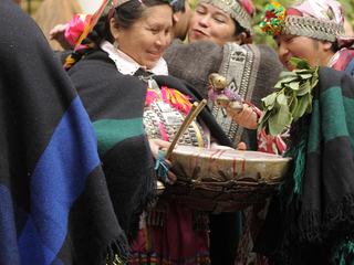 Del 18 al 22 de junio