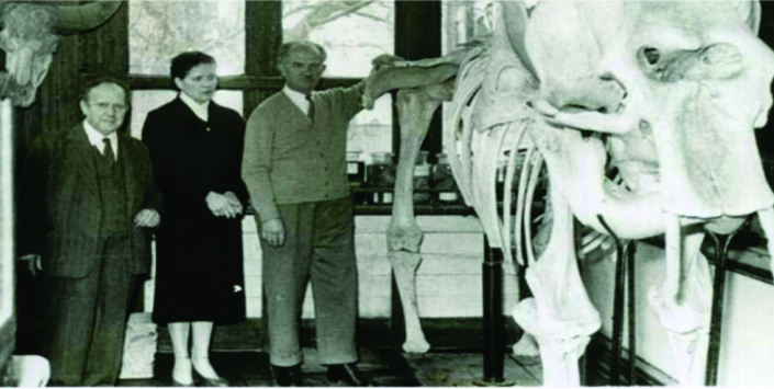 Antigua exhibición en el Museo