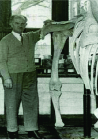 Antigua exhibición en el Museo