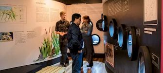 Sala de exhibición temporal Eduardo de la Barra, MHNV