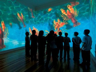 Sala introductoria,exhibición permanente Museo de Historia Natural de Valparaíso