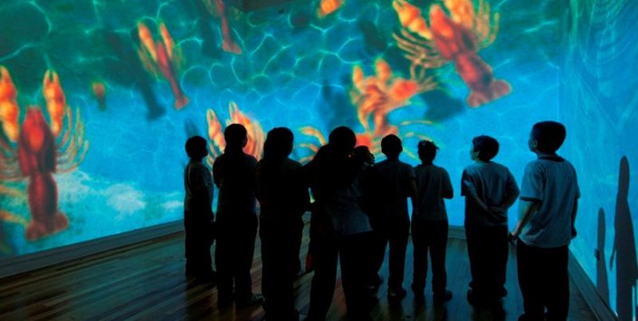 Sala introductoria,exhibición permanente Museo de Historia Natural de Valparaíso