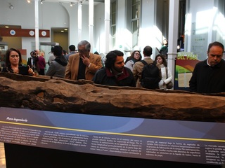 Hall principal, palacio Lyon, Museo de Historia Natural de Valparaíso