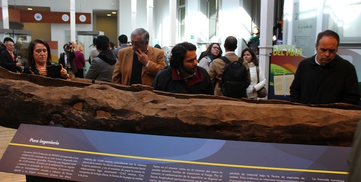 Hall principal, palacio Lyon, Museo de Historia Natural de Valparaíso